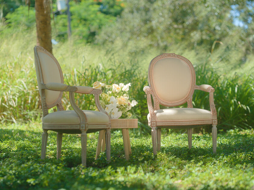 French Provincial Chairs Louis XVI