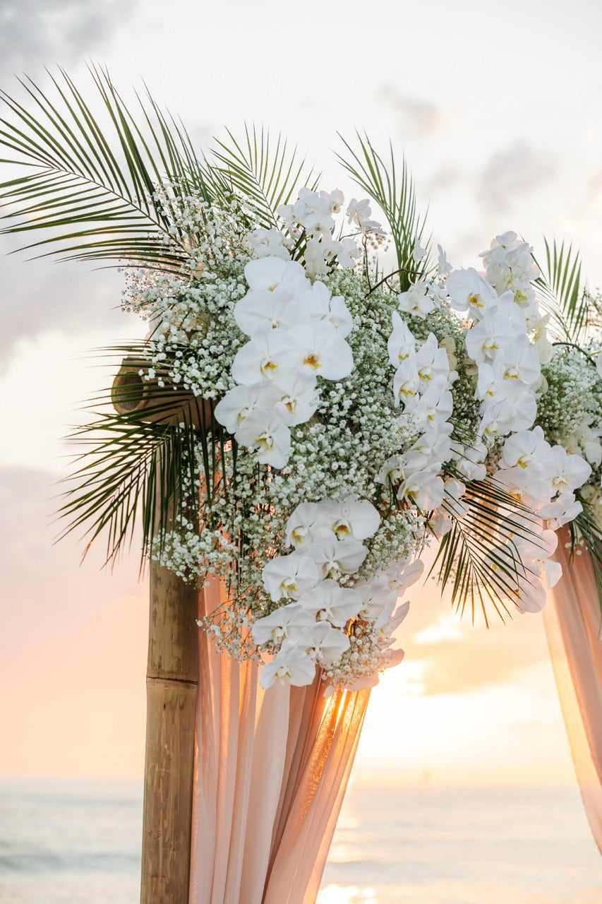 Bamboo Arch