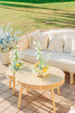 Elegant Two Piece Coffee Table