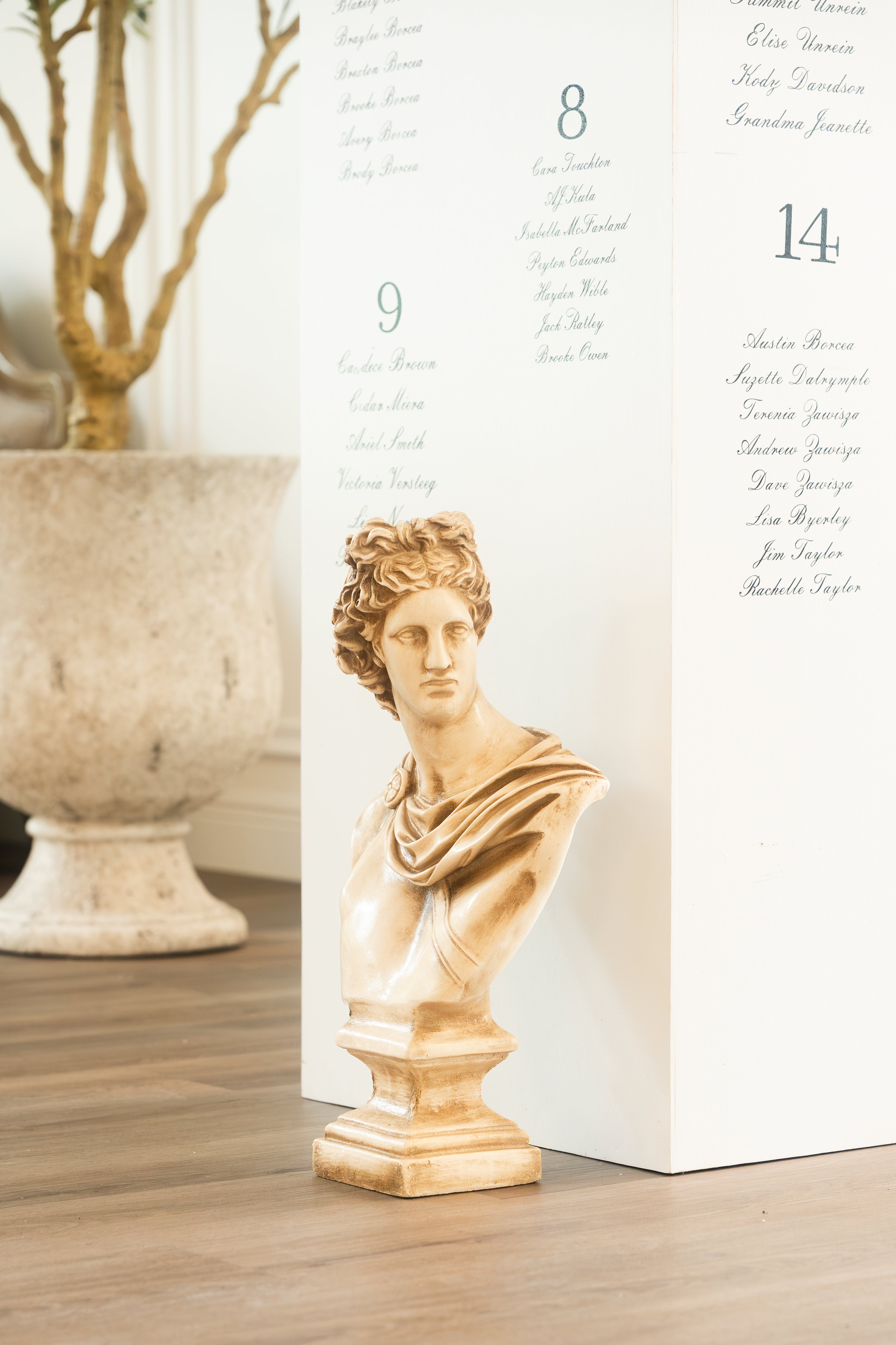 Apollo Classical Bust
