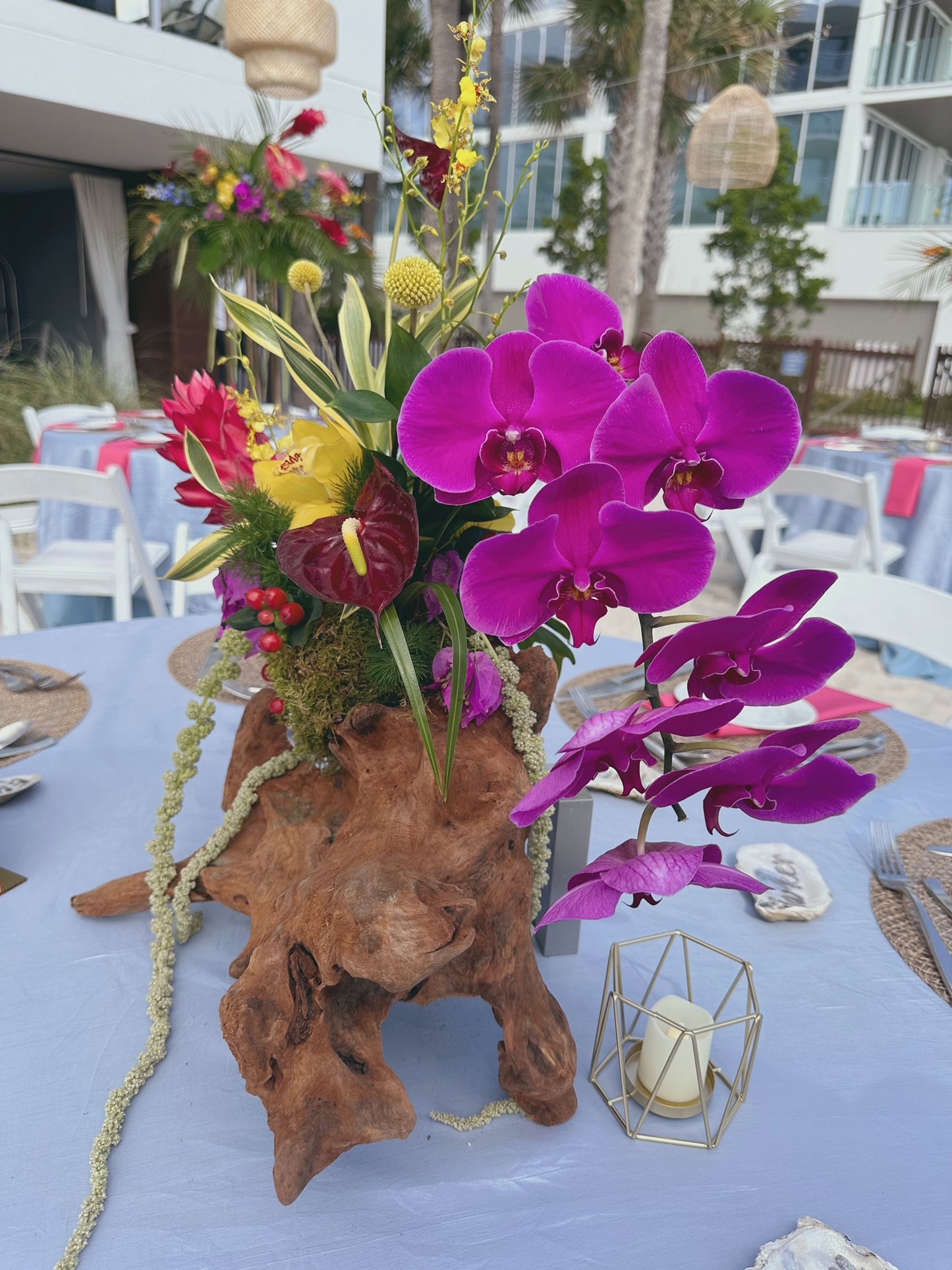 DRIFTWOOD CENTERPIECES