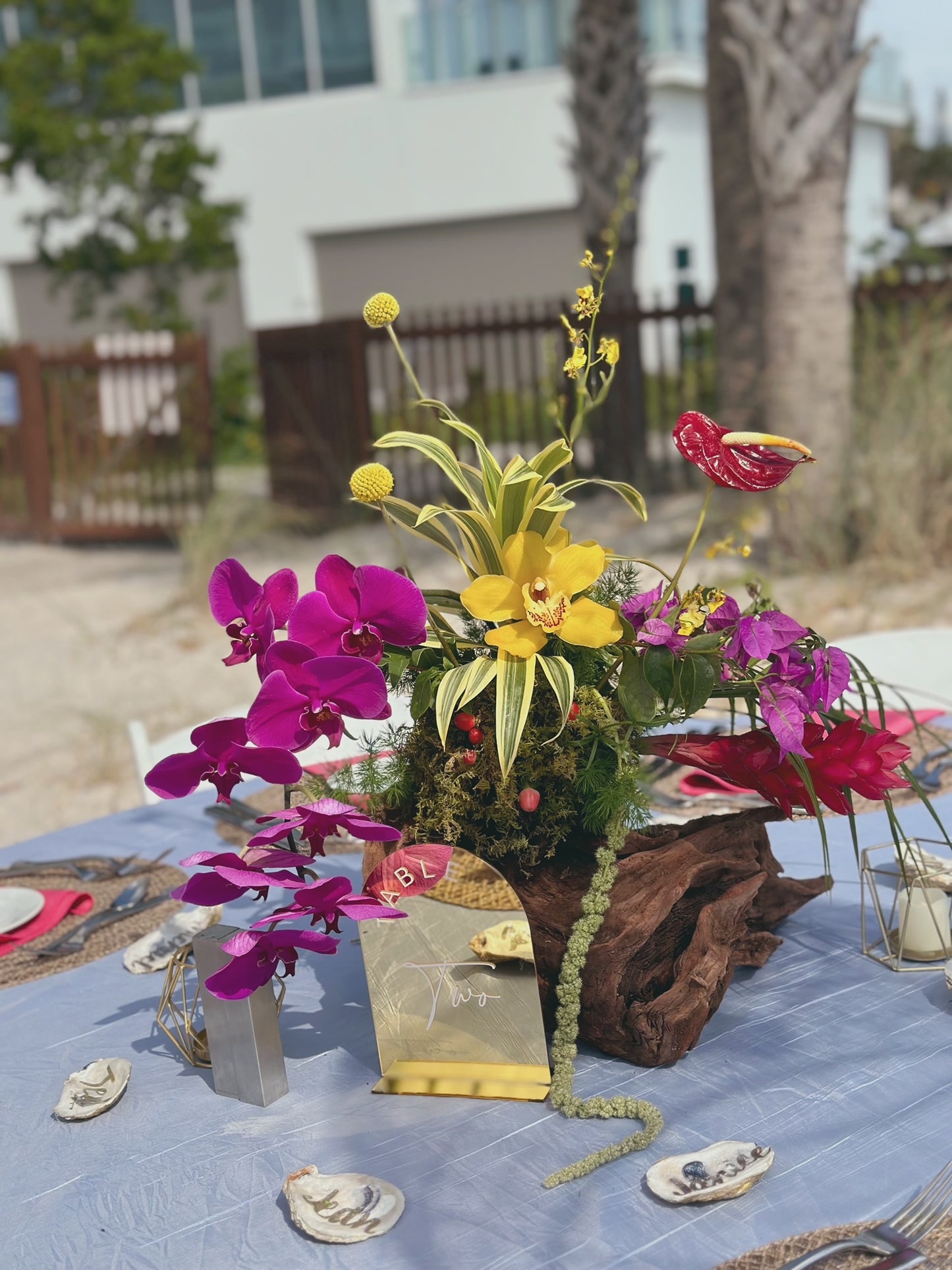 DRIFTWOOD CENTERPIECES